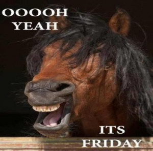 even more horse people http www squidoo com facebook how to use your ...