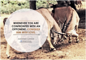 You need to enable Javascript.