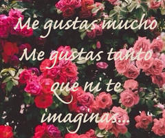 Banda Quotes Tumblr I ♥ corridos & banda!