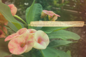 The lovely bones Book Quote!