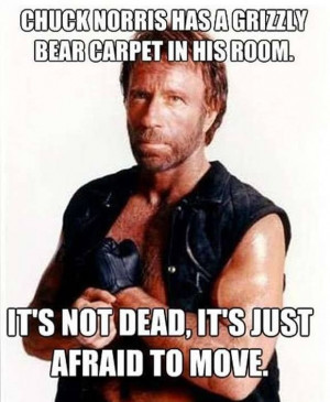 celebs celebs chuck norris funny pics funny pictures humor lol leave a ...