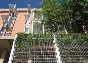 Greenscreen Trellis Panels