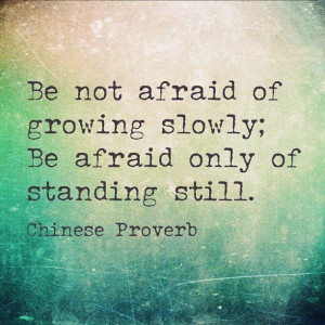 Be not afraid of growing slowly; Be afraid only of standing still ...
