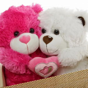 teddy day quotes for 2015