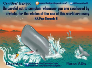... by a whale, for the whales of the sea of this world are many