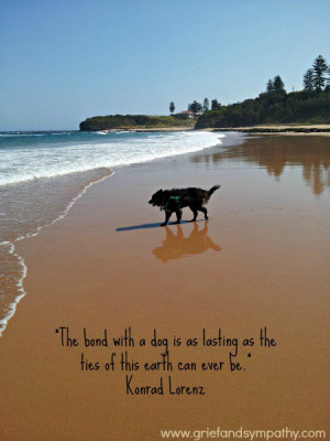 The bond with a dog is as lasting as the ties of this earth can ever ...
