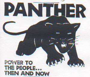 Hip-Hop N’ Politics: Black Panther Party: Commemorating Power To The ...