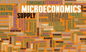 Importance of Micro Economics