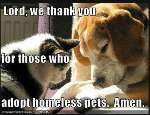 Thank you for adopting homeless pets....