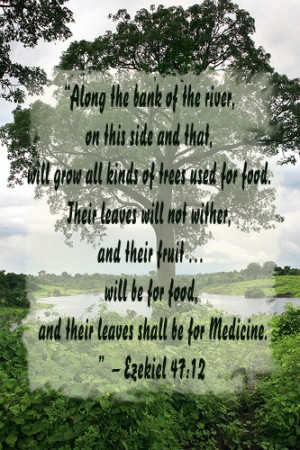 Ezekiel 47:12 - this verse kept jumping out at me today, so I had to ...