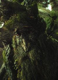 ... Christmas special of long ago. Except Treebeard is green of course