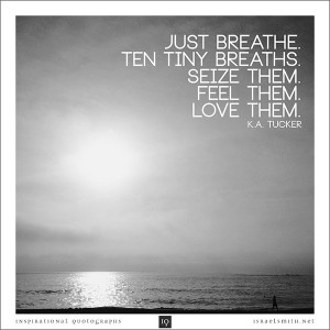 Just breathe. Ten tiny breaths. Seize them. Feel them. Love them ...