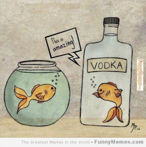 Funny memes – [Alcoholic goldfish]