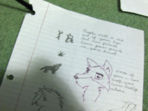 Wolves Quotes and Sayings