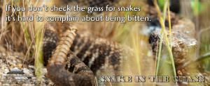 snake bites you because s he is a snake