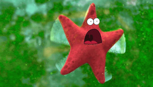 ... star Starfish patrick star gif patrick gif open mouth patrickstargif