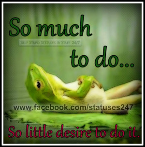 Funny Frog Quotes Quotes funny jokes hilarious
