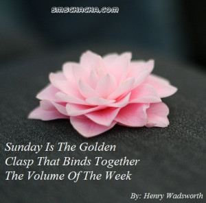 Sunday Quotes Picture