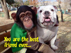 You are the best friend ever