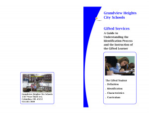 Understanding The Needs Gifted Learner Quotes And