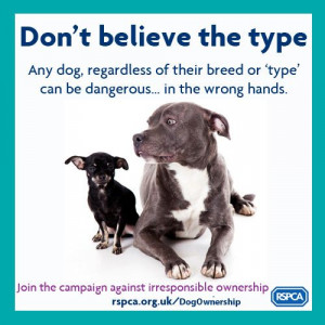BSL quotes | Does Breed Specific Legislation work?