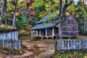 The Smokies Fantastic Fall
