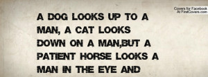 Dog Looks Up To A Man, A Cat Looks down On A Man,But A Patient Horse ...
