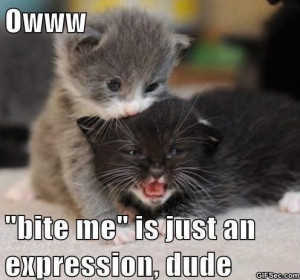 Bite-me.jpg