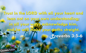 ... And Lean Not On Your Own Understanding In All Your Ways - Bible Quote