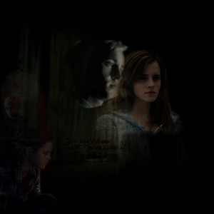 Harry Potter Draco & Hermione