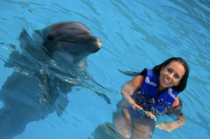 Cute Dolphin Los Cabos