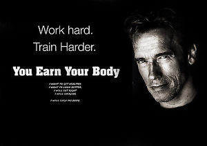 MOTIVATIONAL-Arnold-Schwarzenegger-15-earn-your-body-quote-Gym-poster