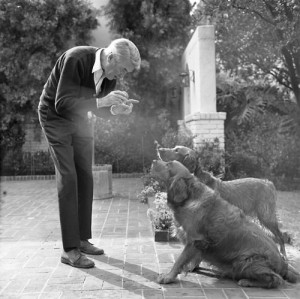 Jimmy Stewart teaches his dogs to behave