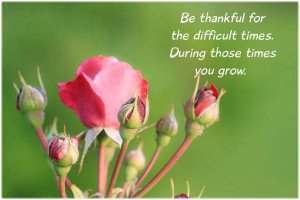 Br thankful for the difficult times. During those times you grow.