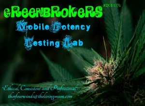 Re: Disclosure: Marijuana Dangers Overstated and Public Intentionally ...