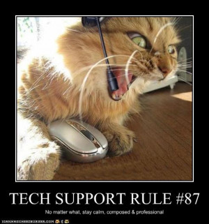 Purrrrrfect Tech Support