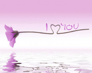 latest beautiful love i love you heart hd desktop wallpapers quotes