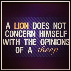 love this one so much! #quotes #lion #sheep