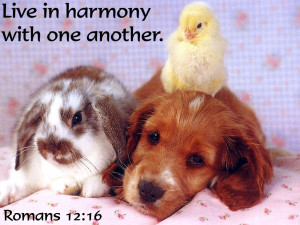http://www.pics22.com/bible-quote-live-in-harmony-with-one-another/