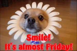 164546-Smile-It-s-Almost-Friday-.gif
