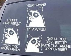 grumpy cat meme, sarcastic funny, grouchy cat …For more funny quotes ...