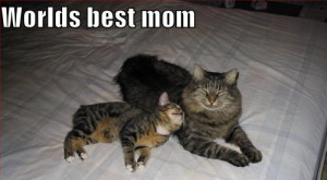 Mothers Day Quotes Funny Funny Mothers Day