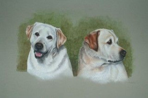 Yellow lab painting