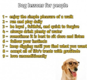 Dog wisdom. I will follow these laws.