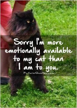 Sorry I'm more emotionally available to my cat than I am to you.