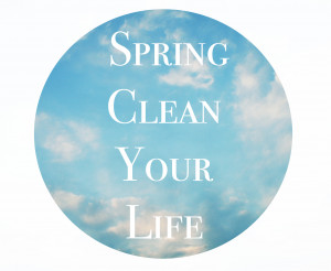 springclean-icon