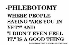 ... quotes phlebotomist quotes phlebotomy phlebotomy humor labs funny