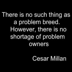 There Is No Such Thing As A Problem Breed. However, There Is No ...