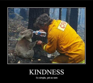 Always be kind to animals!