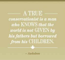 Wildlife Conservation Quotes